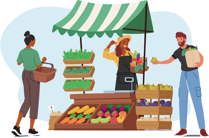 Farmer Character Proudly Displays Vibrant Fresh Vegetables At Market Stall Arranged Meticulously Bright Colors And Earthy Aromas Invite Customers To Savor The Farm To Table Goodness Vector Scene イラスト