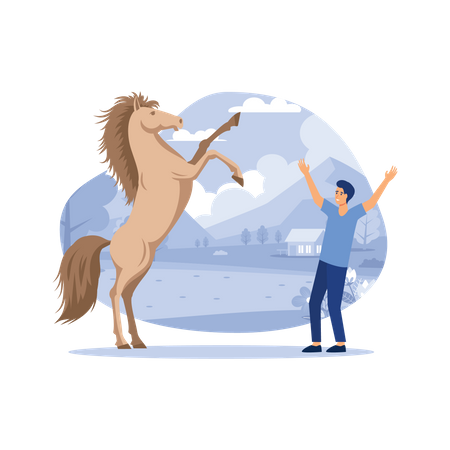 Stunt horse  Illustration