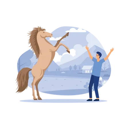 Stunt horse  Illustration