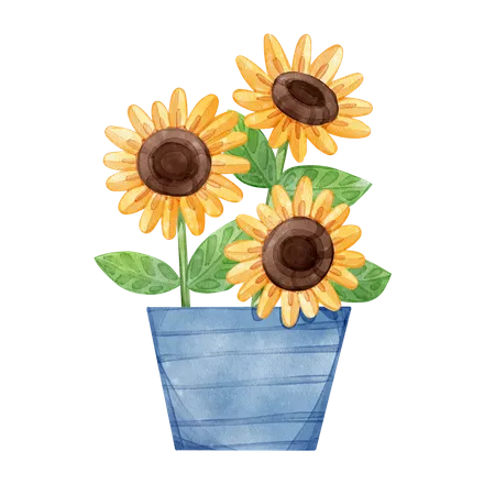 Sunflower In Vase Watercolor Illustration