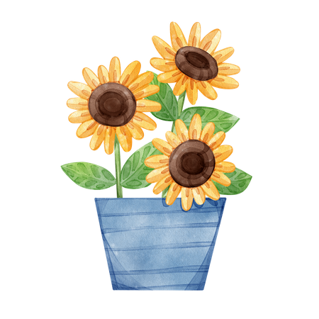 Sunflower in vase  Illustration