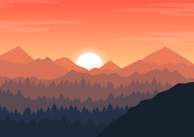 Sunset at forest valley  Illustration