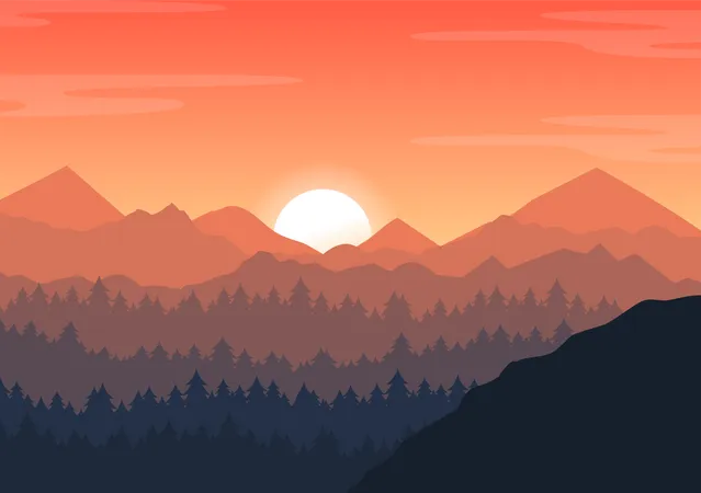 Sunset at forest valley  Illustration