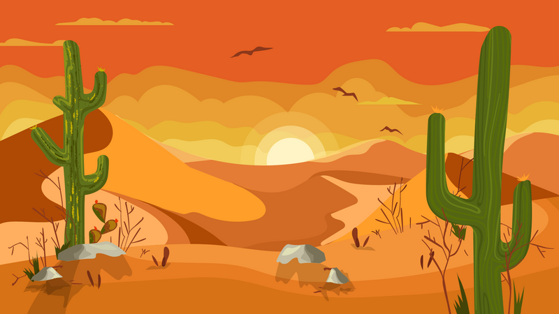 Sunset in desert  Illustration