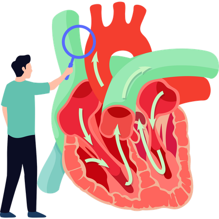Surgeon explains about heart disease  Illustration