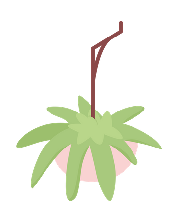 Suspended Potted Plant Illustration