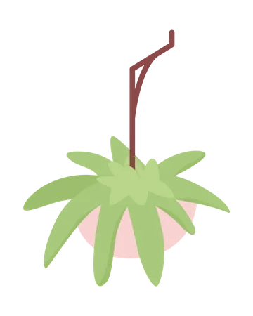 Suspended Potted Plant Illustration