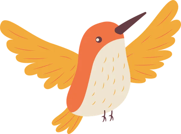 Niedlicher Kolibri im Flug  Illustration