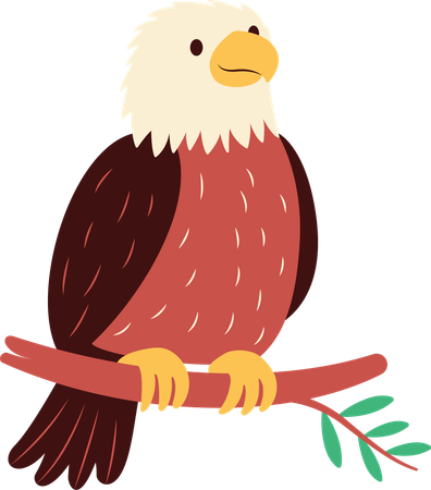 Süßer Weißkopfseeadler  Illustration