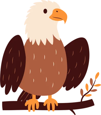 Süßer Weißkopfseeadler  Illustration