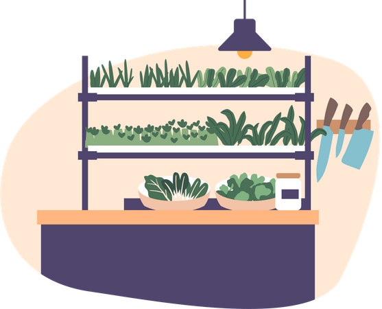 Sustainable Kitchen Setup  Illustration