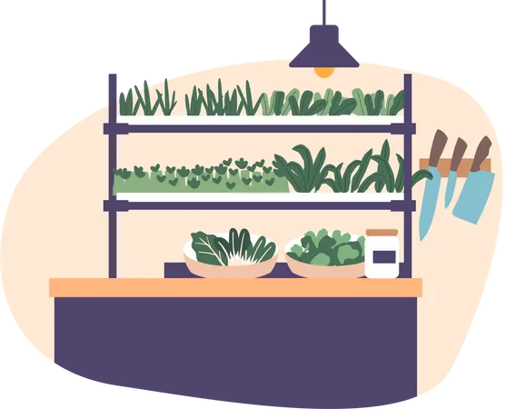 Sustainable Kitchen Setup  Illustration