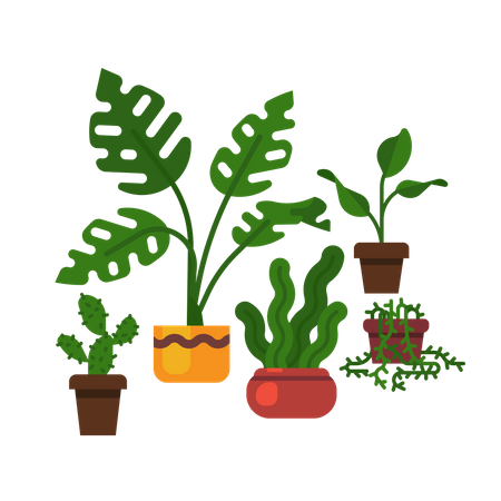 Swiss cheese plant,  sansevieria, cactus and more  Illustration