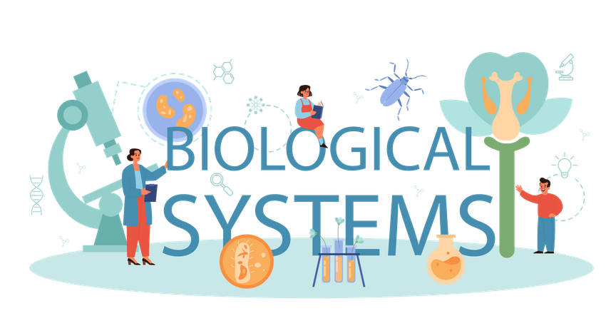 Système biologique  Illustration