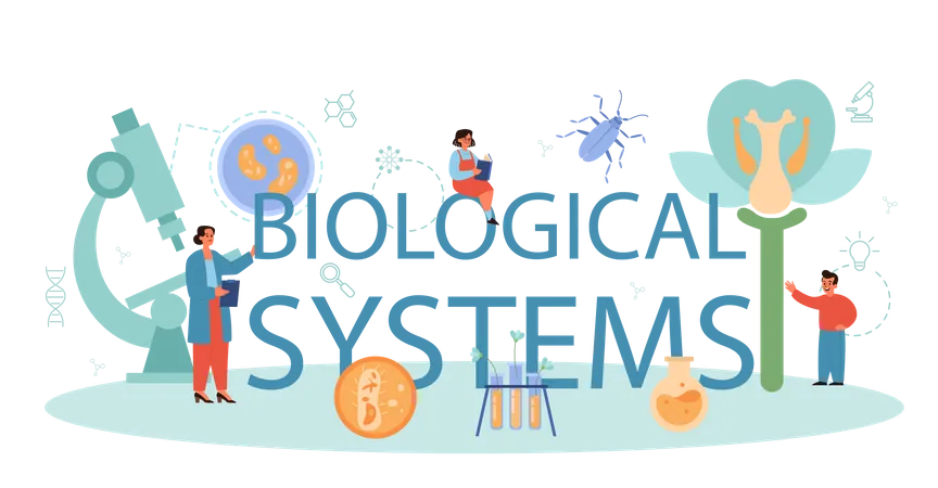 Système biologique  Illustration