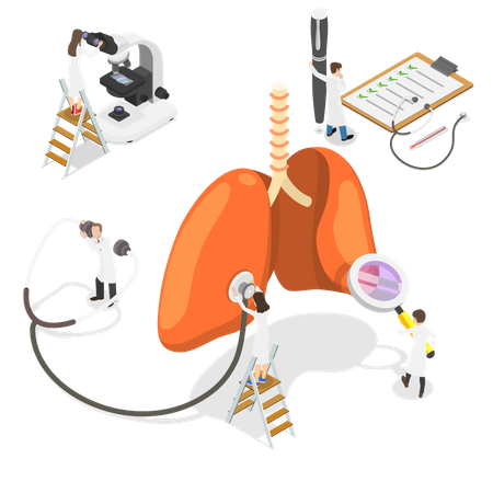 Système respiratoire respiratoire humain  Illustration