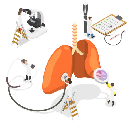 Système respiratoire respiratoire humain  Illustration