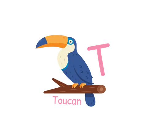 T for Toucan  Illustration