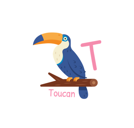 T for Toucan  Illustration