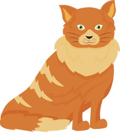 Tabby cat  Illustration