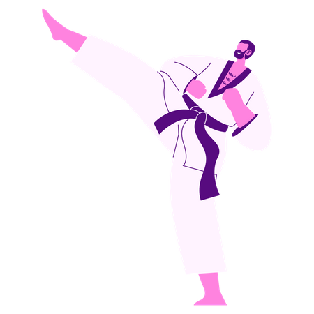Taekwondo Fighter  Illustration