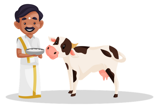 Tamil man offering rice to cow  Illustration