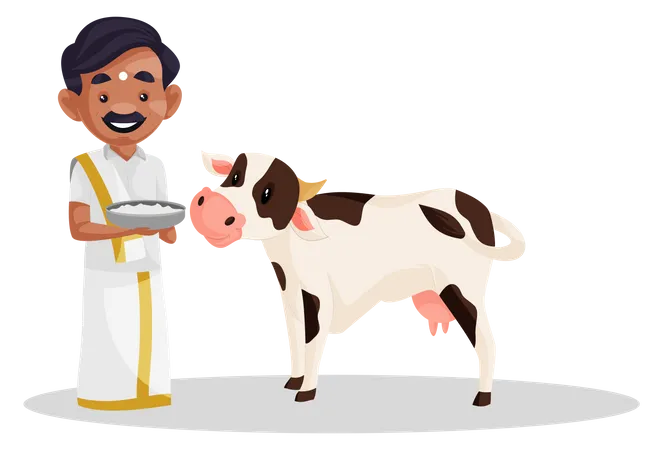 Tamil man offering rice to cow  Illustration