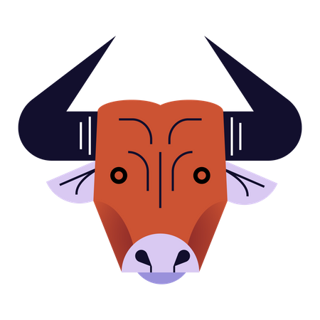 Taurus head  Illustration