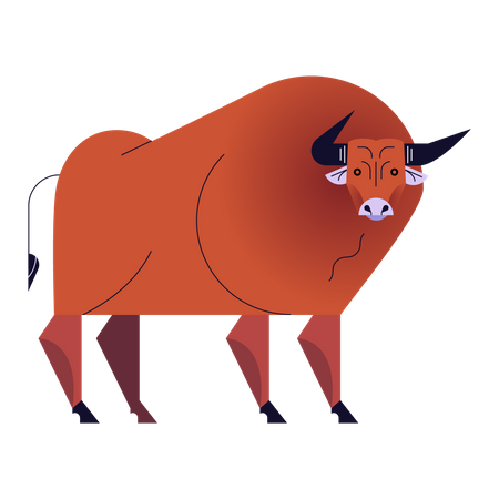 Taurus  Illustration