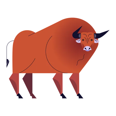 Taurus  Illustration