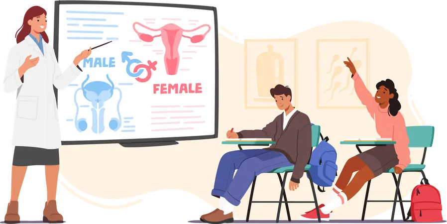 Sex Education In School Concept Teacher Female Character Stand At Blackboard Explain To Students Features Of Reproductive System Of Men And Women Cartoon People Vector Illustration Illustration