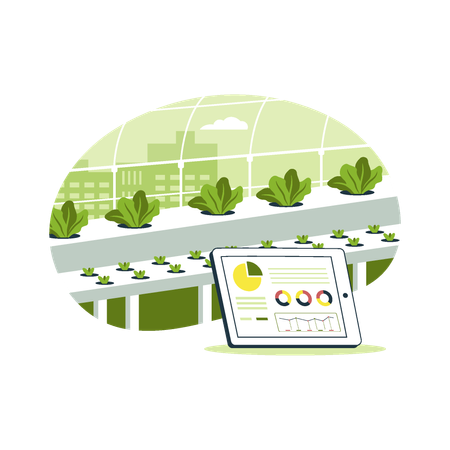 Technologie de culture de plantes hydroponiques.  Illustration