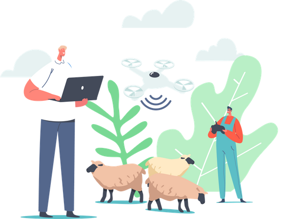 Technology for Grazing Sheep  Illustration