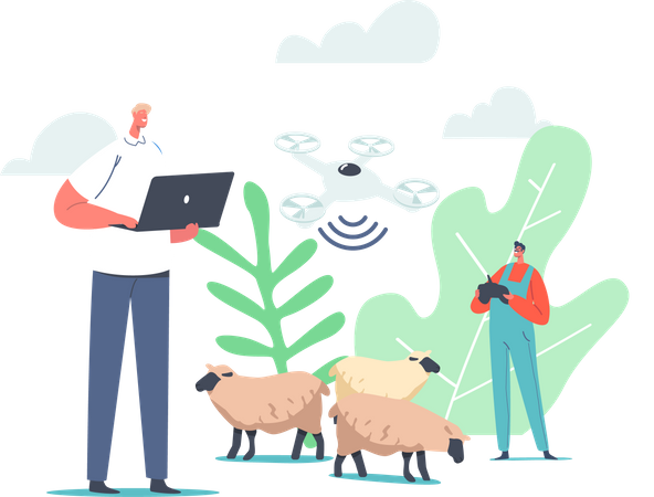 Tecnologia para pastoreio de ovelhas  Ilustração
