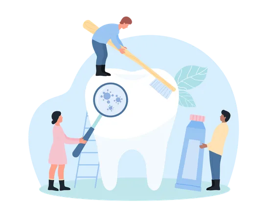 Teeth Brushing Oral Hygiene Vector Illustration Cartoon Tiny People Holding Toothbrush And Healthy Toothpaste To Clean Giant Human Tooth Woman Examine Dental Germs In Mouth Under Magnifying Glass Illustration