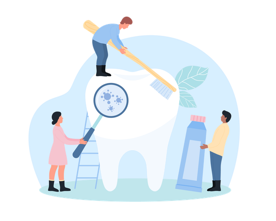 Teeth brushing  Illustration