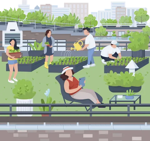 Terrace farming  Illustration
