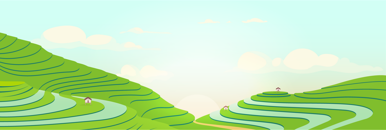 Terraced Fields At Sunrise  Illustration