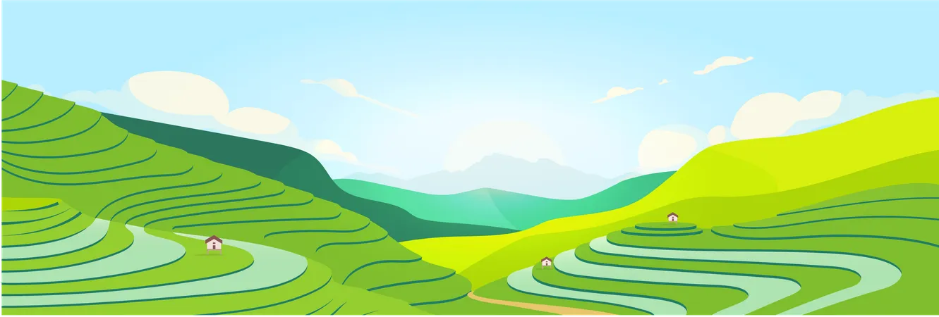 Terraced Fields At Sunset  Illustration