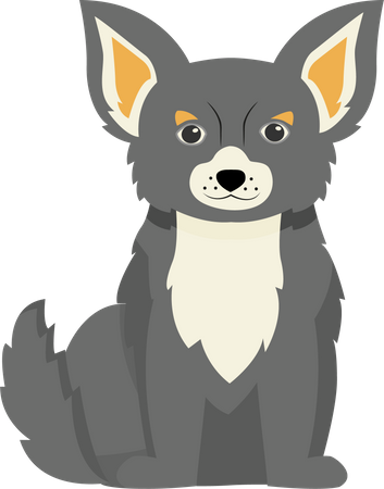 Terrier gris  Illustration