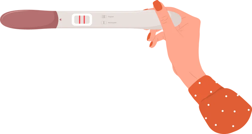 Teste de gravidez  Ilustração