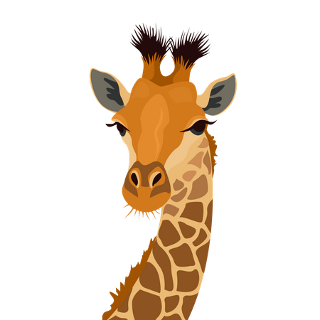 Tête de girafe  Illustration