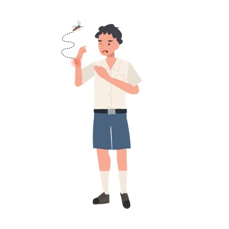Thai student boy with Mosquito Bites Scratching Itchy Skin in Summertime  Illustration