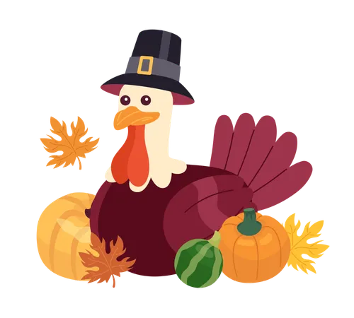 Thanksgiving Pilgrim Turkey In Pumpkins Fall 2 D Cartoon Character Wearing Hat Capotain Poultry Fowl Isolated Vector Animal White Background Harvest Autumn Celebrate Color Flat Spot Illustration Illustration