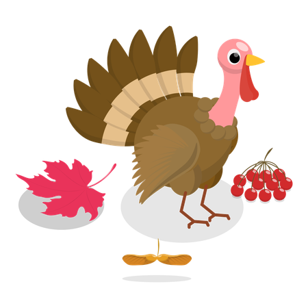 Thanksgiving Set  Illustration