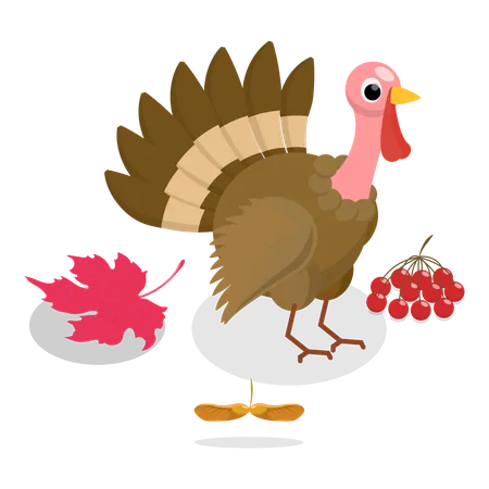 Thanksgiving Set  Illustration