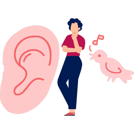 The boy is thinking about human ear sound travel  Illustration