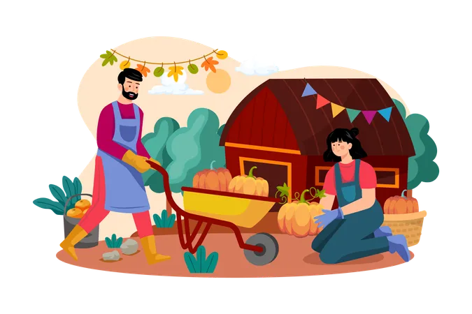 The Couple Is Preparing Pumpkins For Thanksgiving Day Illustration