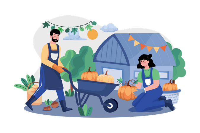 The Couple Is Preparing Pumpkins For Thanksgiving Day Illustration