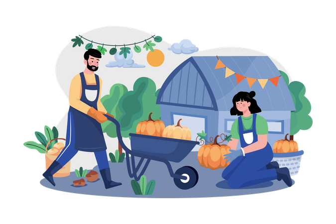 The Couple Is Preparing Pumpkins For Thanksgiving Day  Illustration